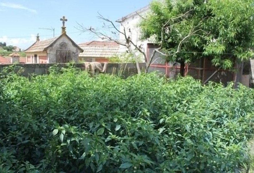 ホテル Casa Rural Outeiro