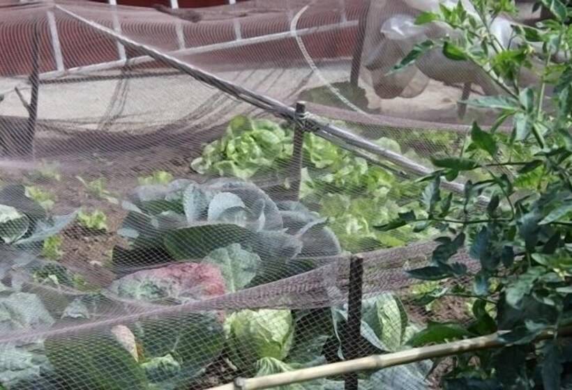 ホテル Casa Rural Outeiro