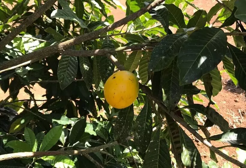 בית מלון כפרי Del Bosque