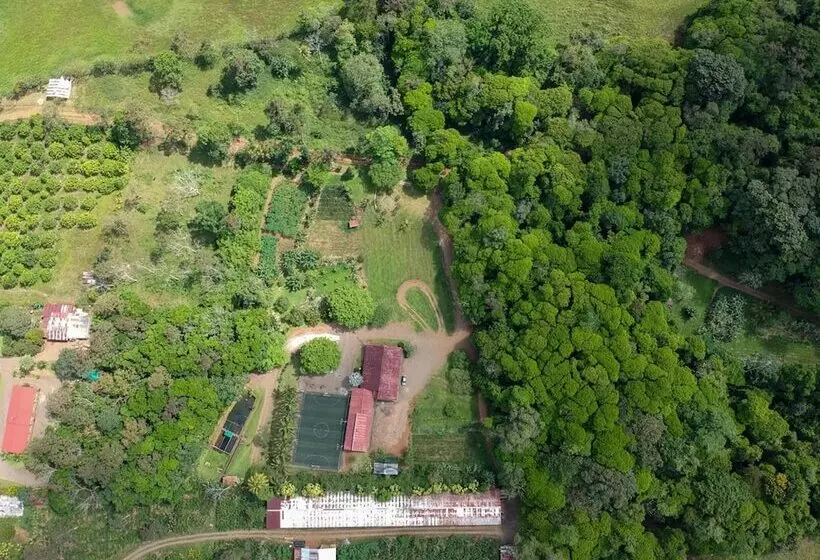 בית מלון כפרי Del Bosque