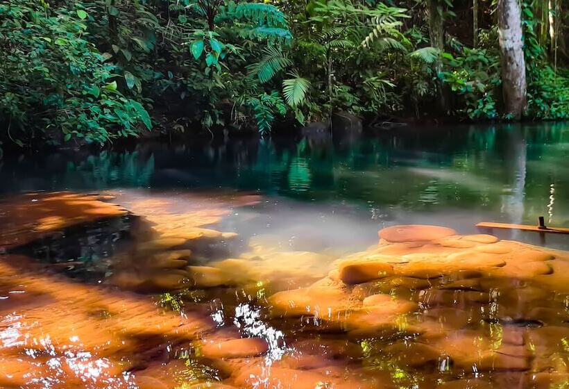 Отель Del Bosque