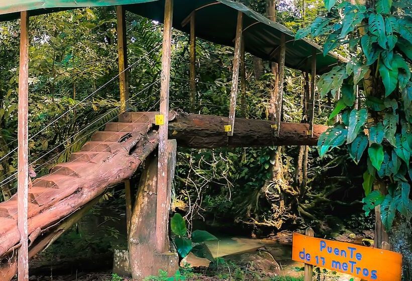 Отель Del Bosque