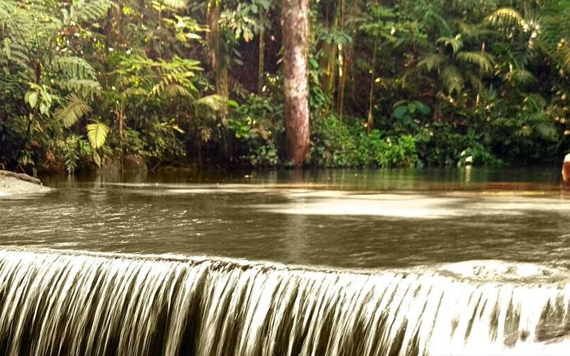 Отель Del Bosque