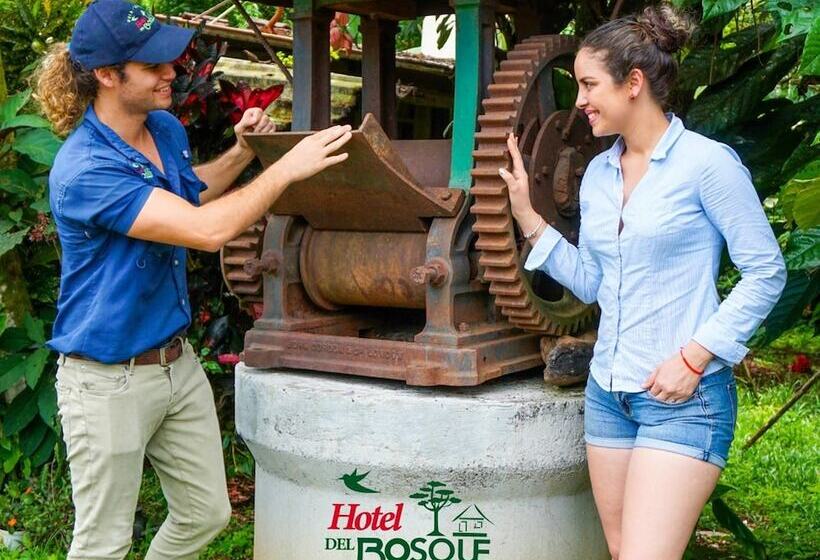 Отель Del Bosque