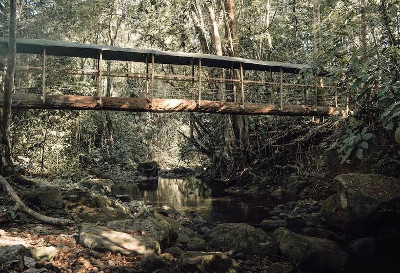 Отель Del Bosque