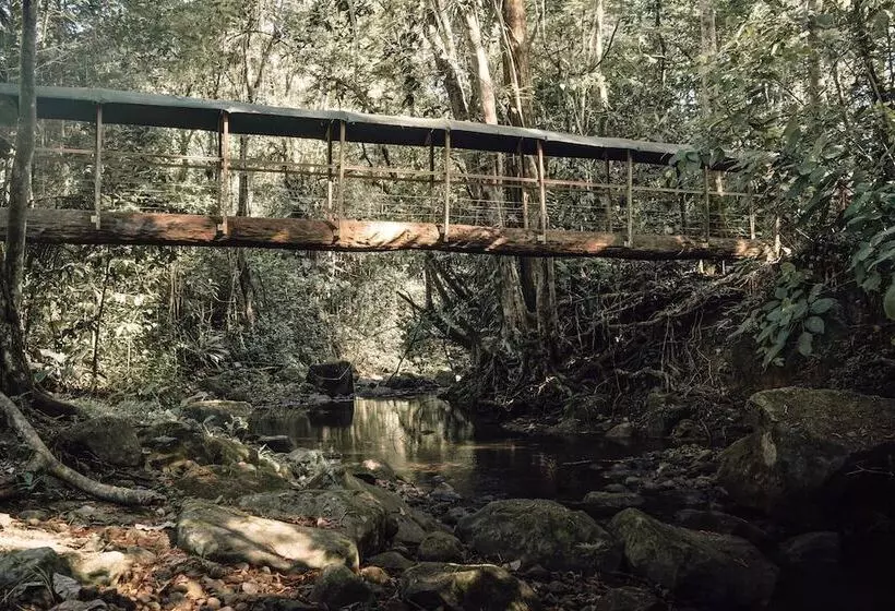בית מלון כפרי Del Bosque