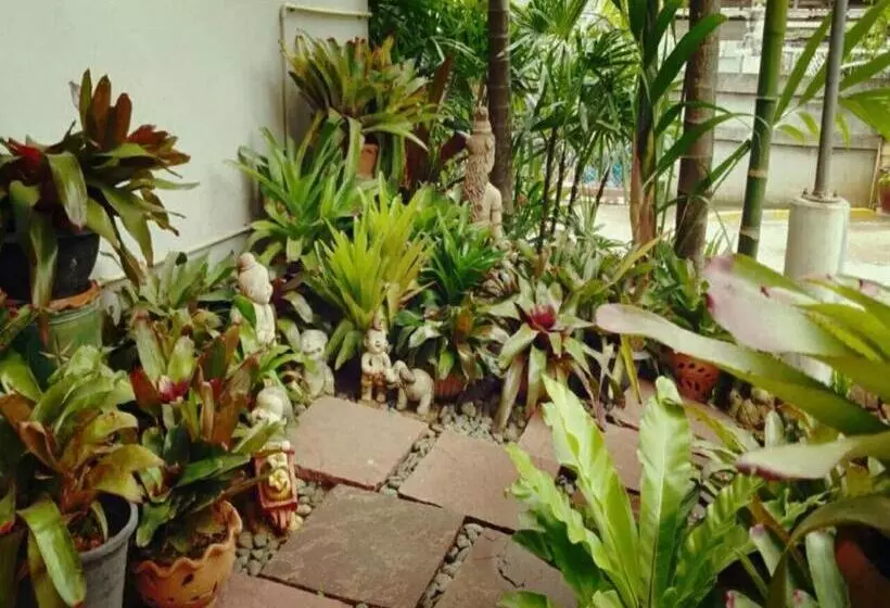 Отель Loei Orchid