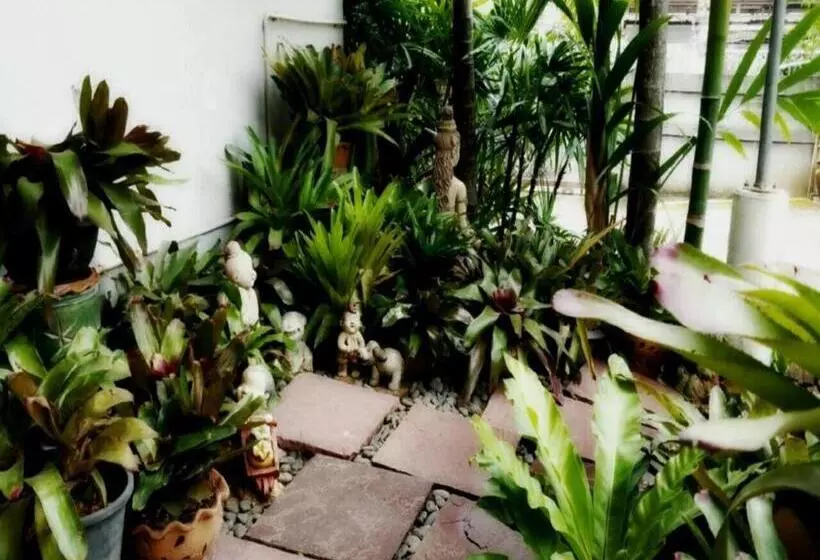 Отель Loei Orchid