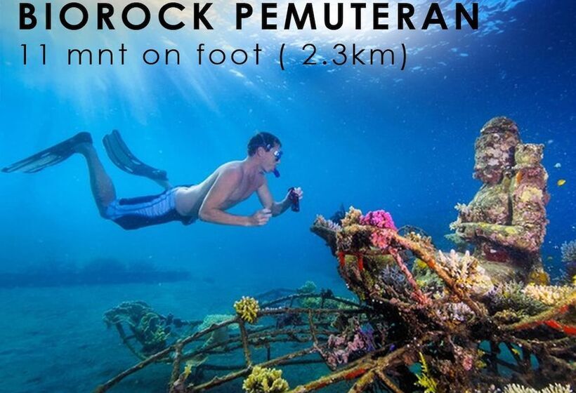 Отель Taruna Homestay