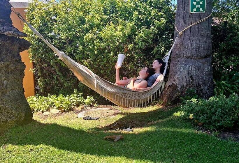 הוסטל Ashanti Lodge Backpackers