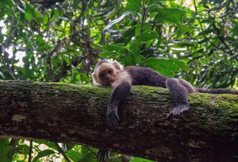 민박 Lodge Margouillat