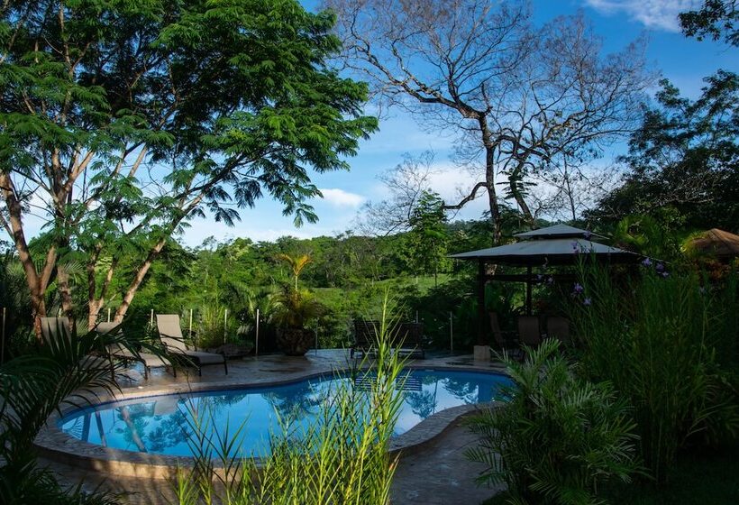 مبيت وإفطار Lodge Margouillat