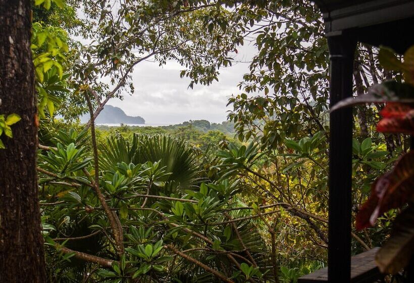 مبيت وإفطار Lodge Margouillat