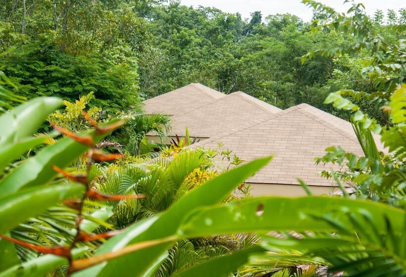 مبيت وإفطار Lodge Margouillat