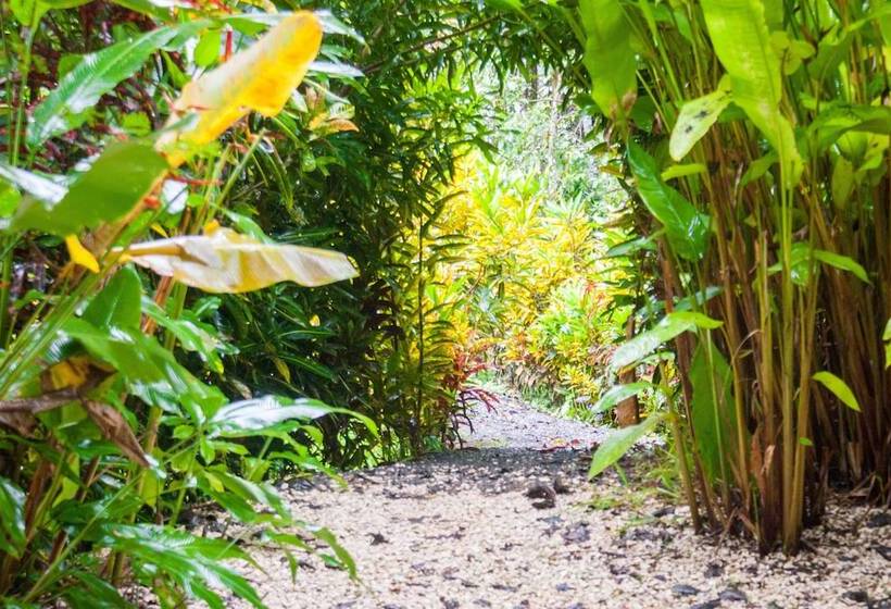 مبيت وإفطار Lodge Margouillat