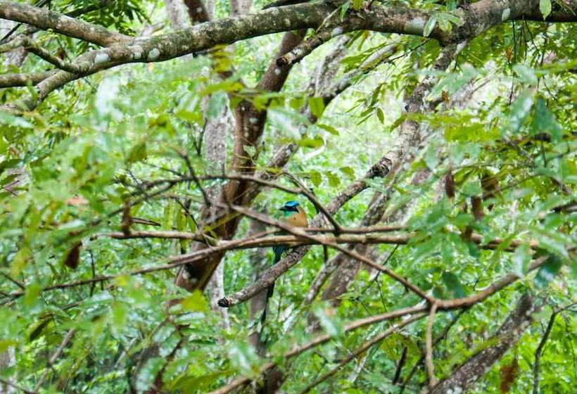 مبيت وإفطار Lodge Margouillat