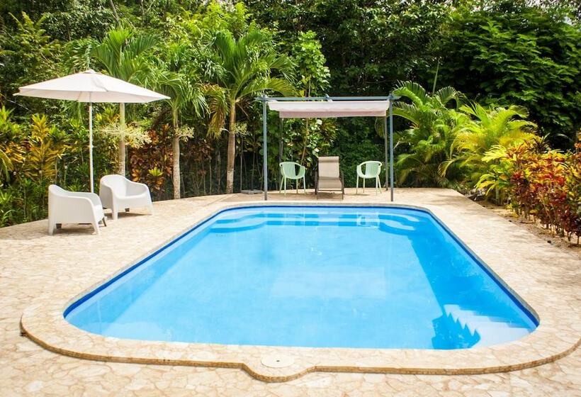 مبيت وإفطار Lodge Margouillat