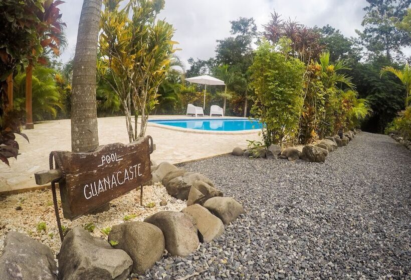 مبيت وإفطار Lodge Margouillat