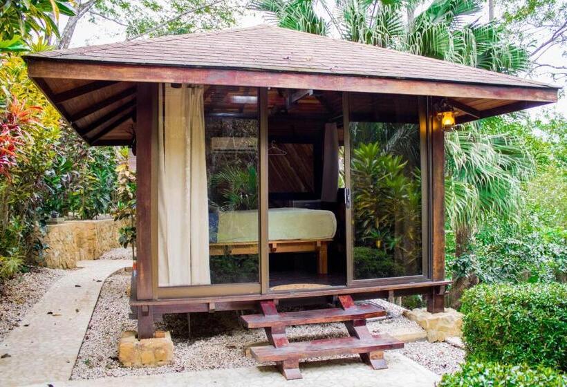 مبيت وإفطار Lodge Margouillat