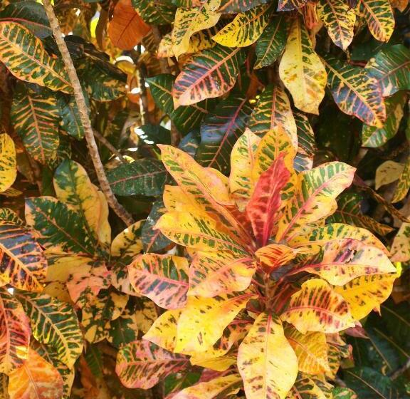 مبيت وإفطار Lodge Margouillat