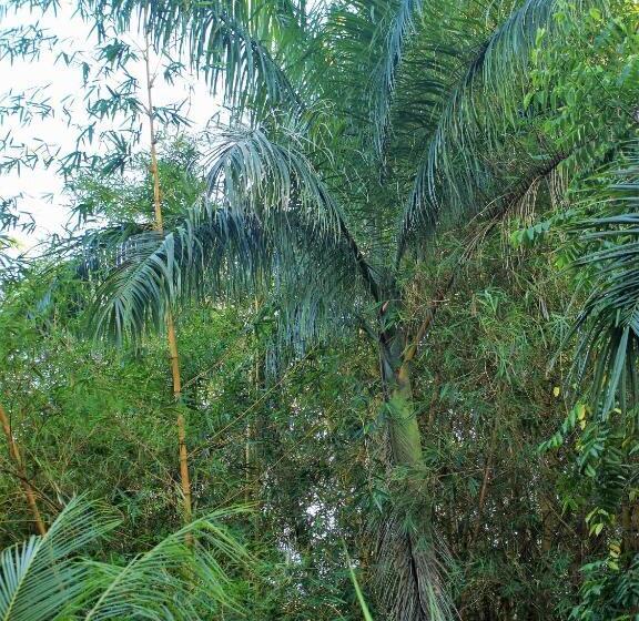 مبيت وإفطار Lodge Margouillat