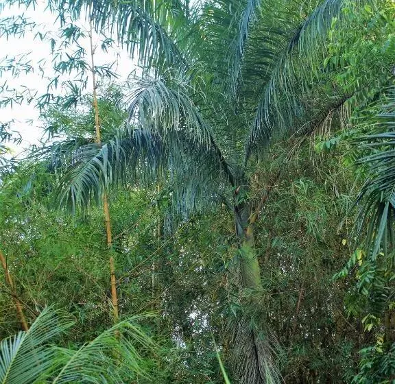 민박 Lodge Margouillat