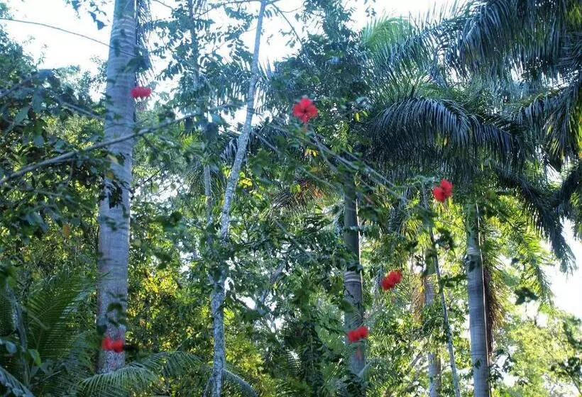 민박 Lodge Margouillat