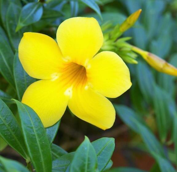 مبيت وإفطار Lodge Margouillat