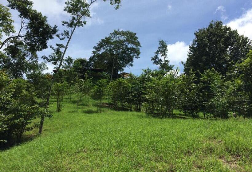 مبيت وإفطار Lodge Margouillat