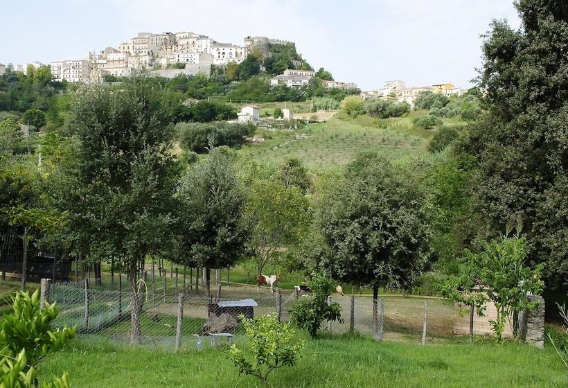 호텔 Agriturismo L'arca Di Anna Brambilla