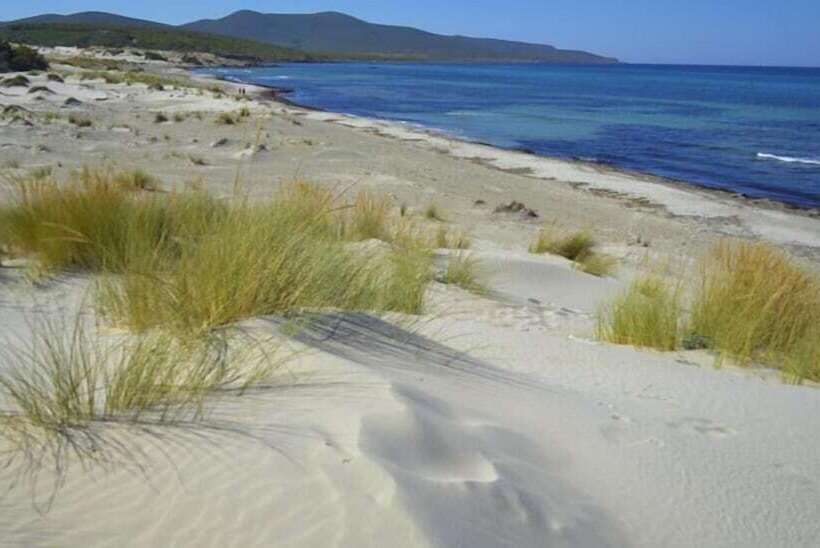 בית מלון כפרי Jasmine