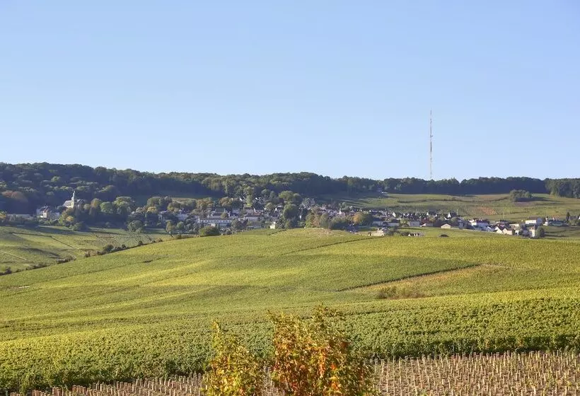 Отель Les Grains D Argent Dizy   Epernay