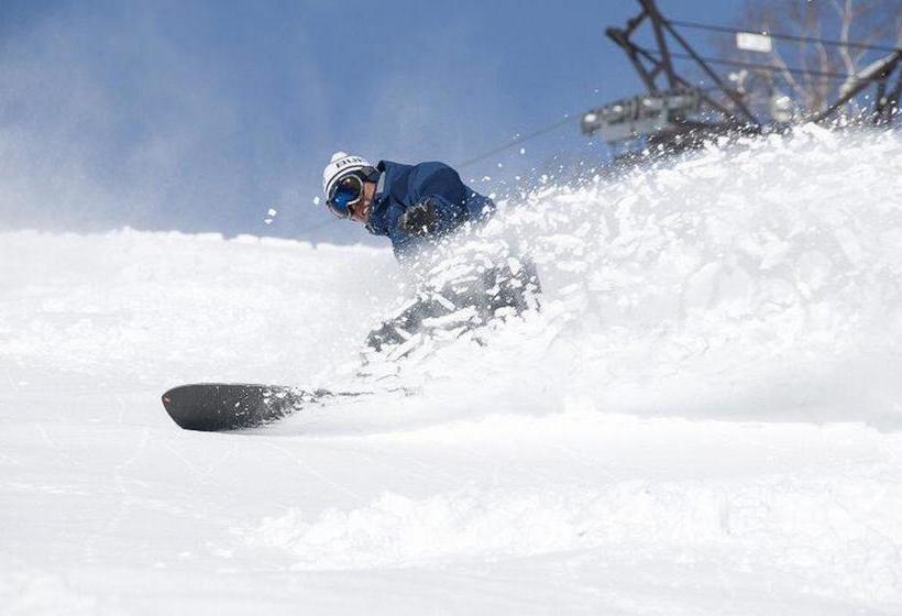 בית מלון כפרי Niseko Alpen