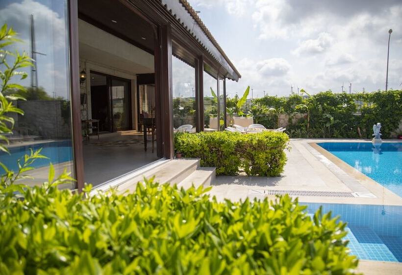 فندق Teddy Alaçatı