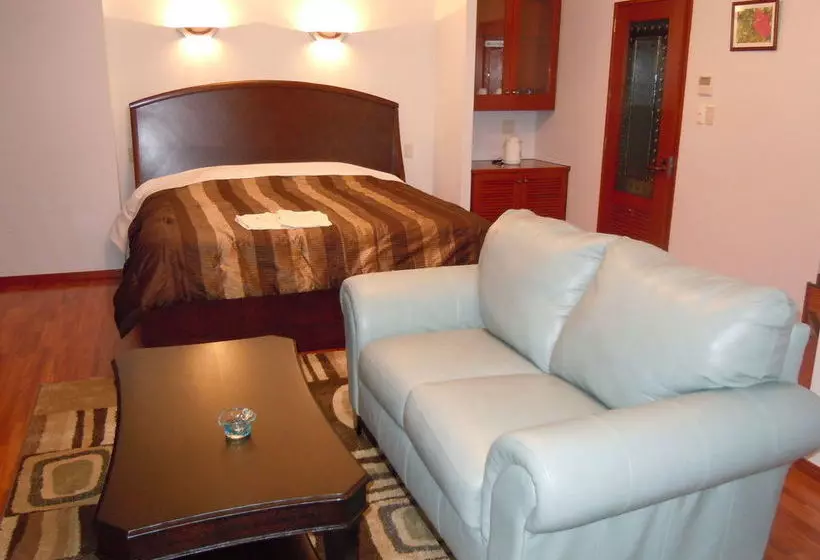 Отель The White