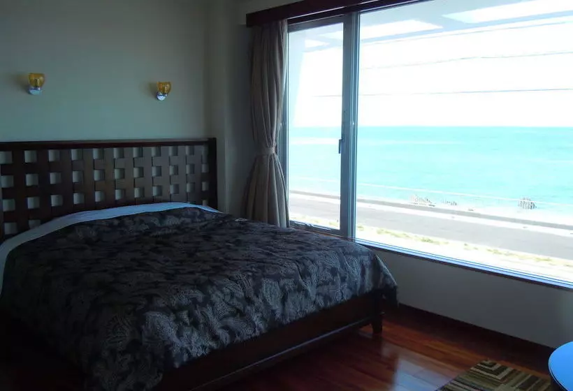 Отель The White