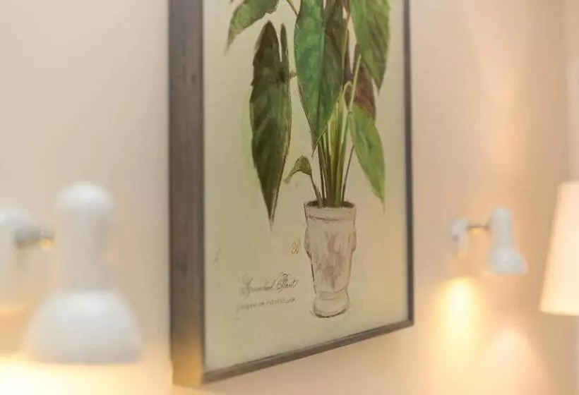 The Club Motel And Apartments