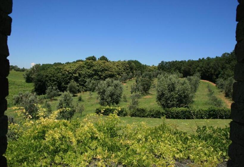 فندق Tenuta Di Monaciano