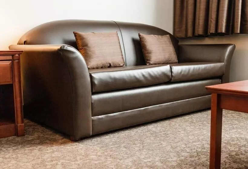 酒店 Adam S Airport Inn