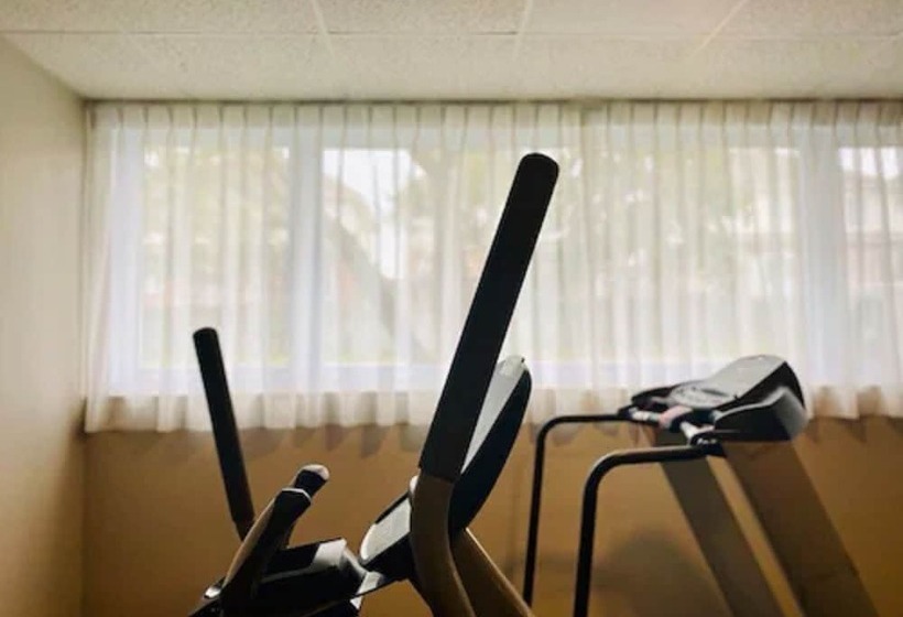 فندق Adam S Airport Inn