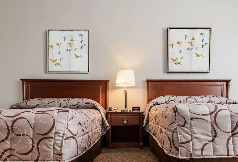 酒店 Adam S Airport Inn