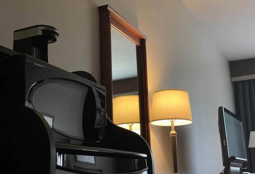 فندق Adam S Airport Inn