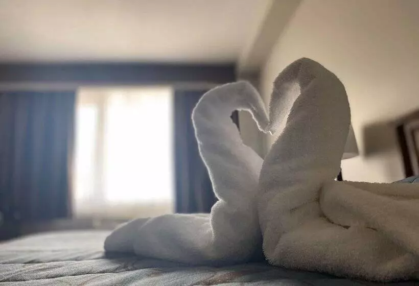 酒店 Adam S Airport Inn