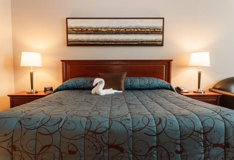 酒店 Adam S Airport Inn