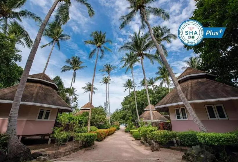 هتل Sairee Seaview Koh Tao   Hostel