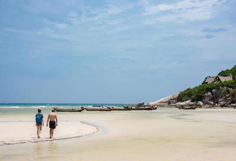 בית מלון כפרי Sairee Seaview Koh Tao   Hostel