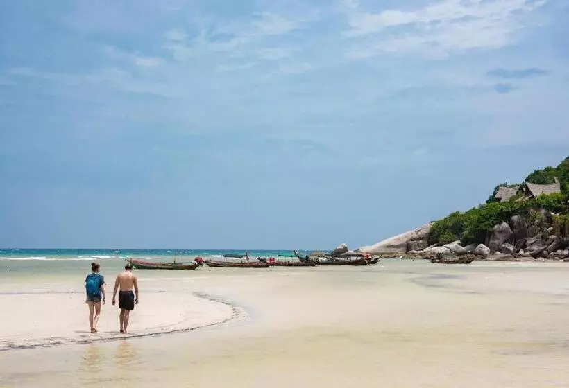 هتل Sairee Seaview Koh Tao   Hostel