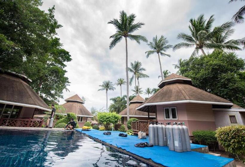 בית מלון כפרי Sairee Seaview Koh Tao   Hostel