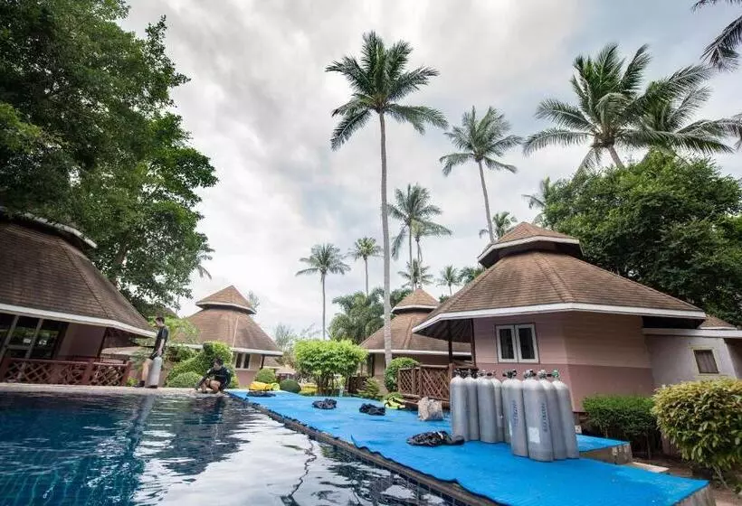 هتل Sairee Seaview Koh Tao   Hostel