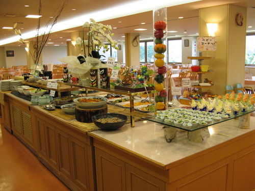 فندق Kyukamura Hiruzenkogen